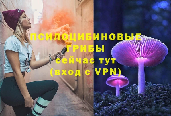 спиды Белокуриха