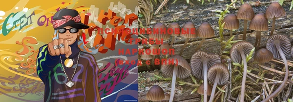 спиды Белокуриха