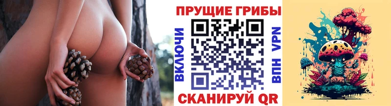 Псилоцибиновые грибы MAGIC MUSHROOMS  OMG ССЫЛКА  Щёлкино 
